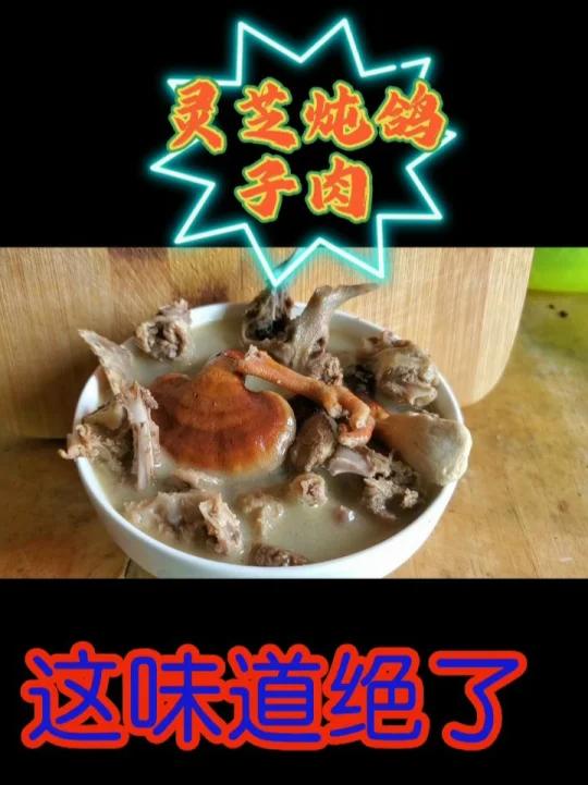新鲜灵芝炖鸽子肉,这味道绝了