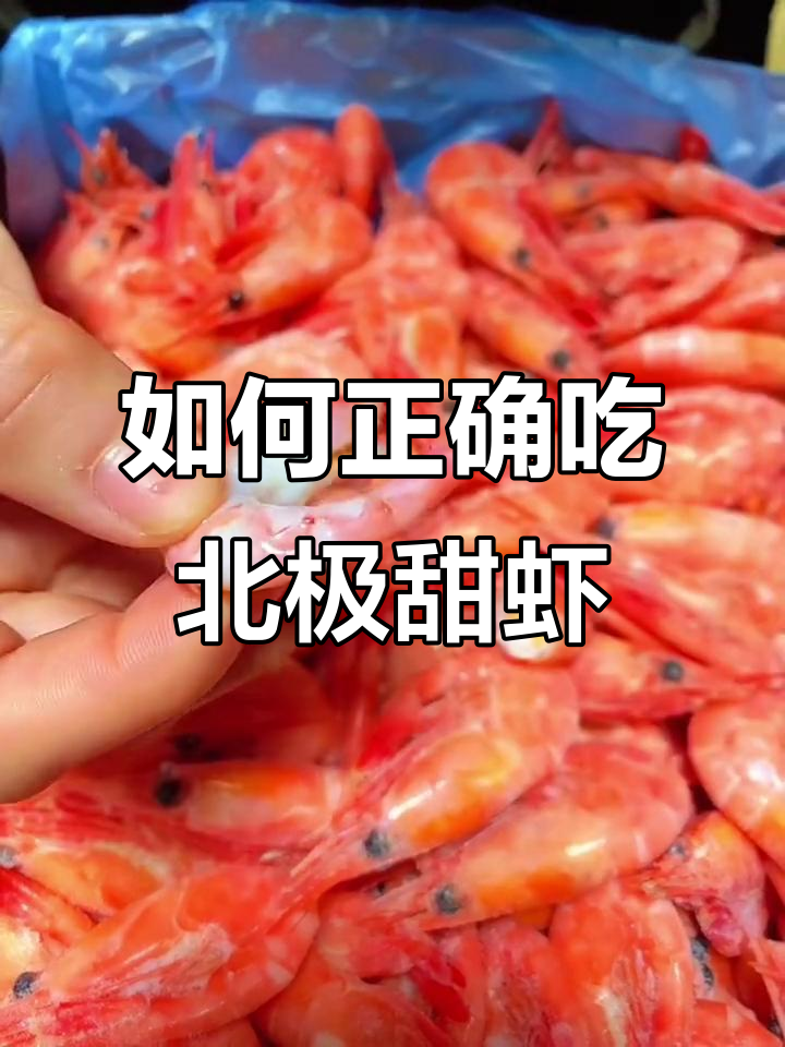 北极甜虾的正确吃法,头籽全搞定!