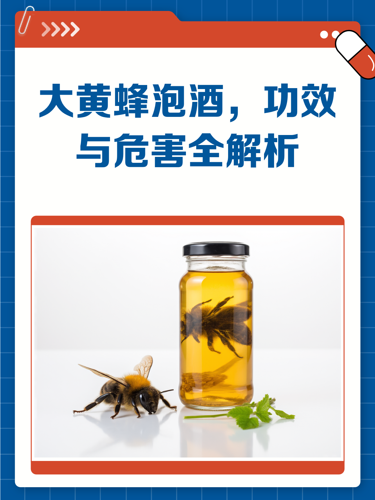 大黄蜂泡酒,你真的了解它的功效与危害吗?