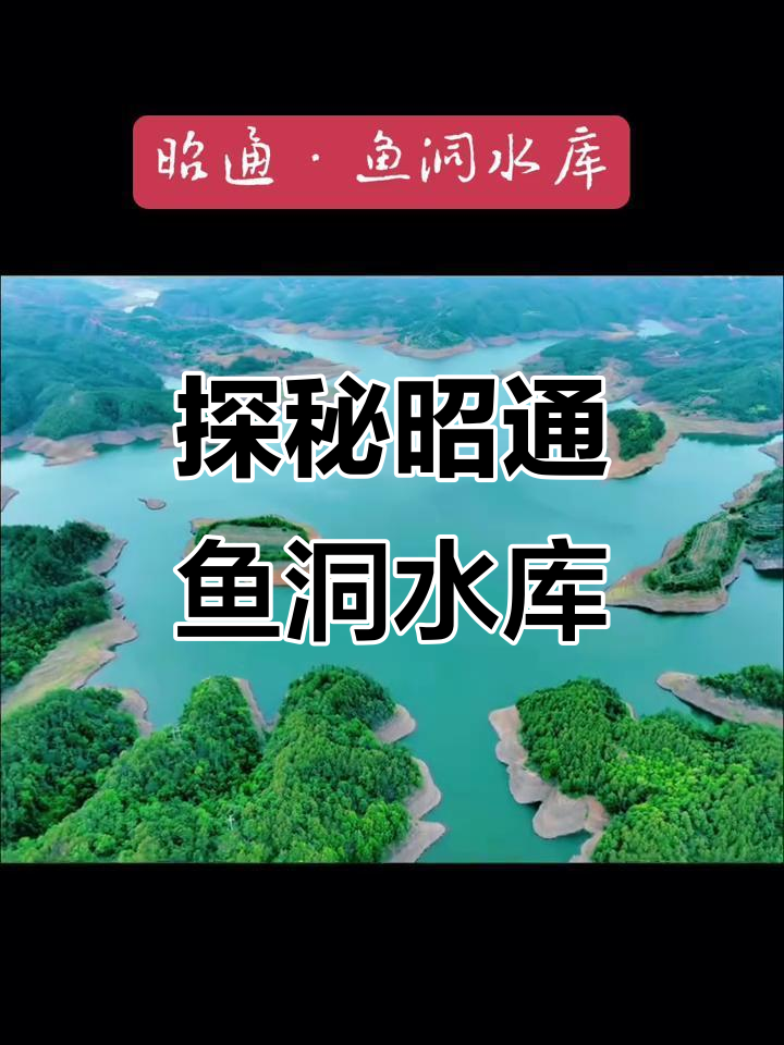 昭通鱼洞水库:樱花柳树背后的壮丽景色