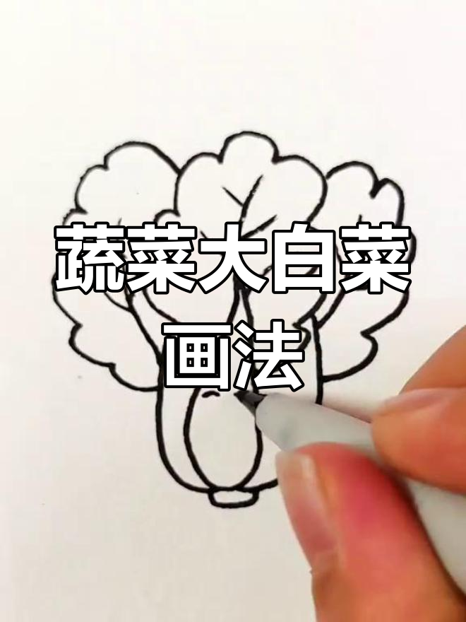 大白菜简笔画,轻松学会!