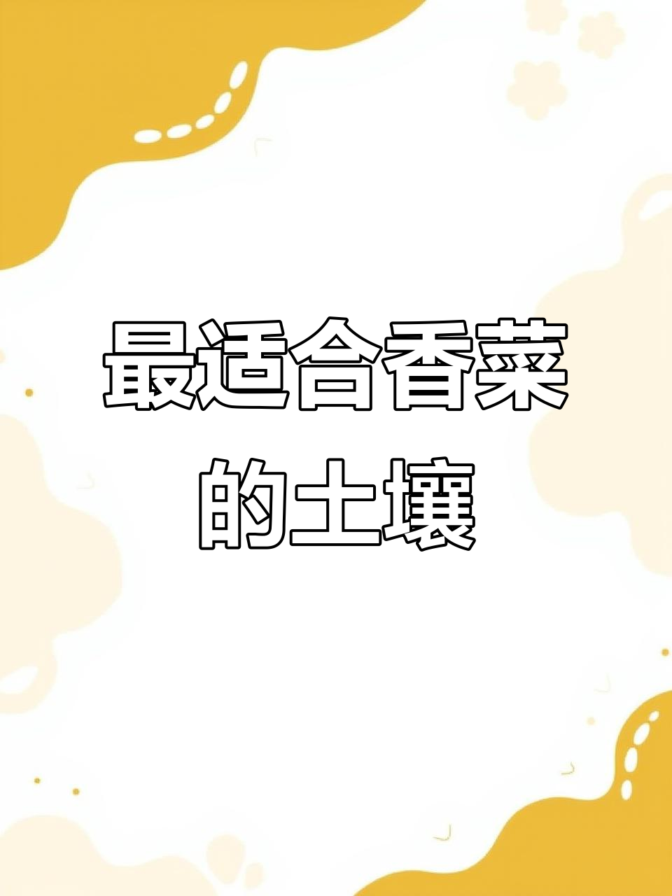 香菜最适宜的土壤类型是什么?沙质土和劣酸性最适合