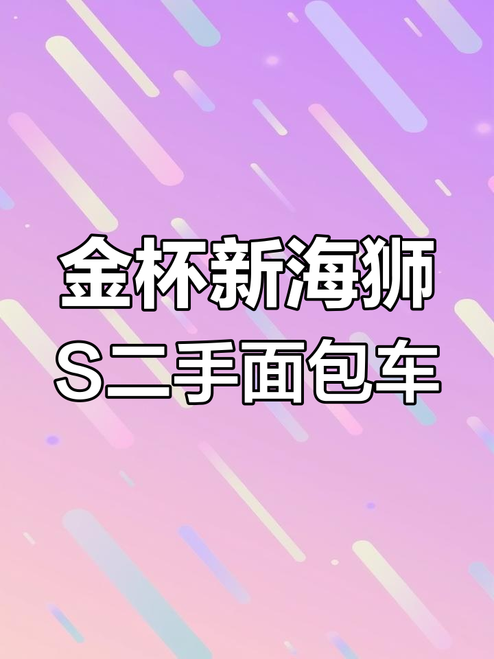 2020年金杯新海狮S,六座设计超省空间,空调冷暖都有