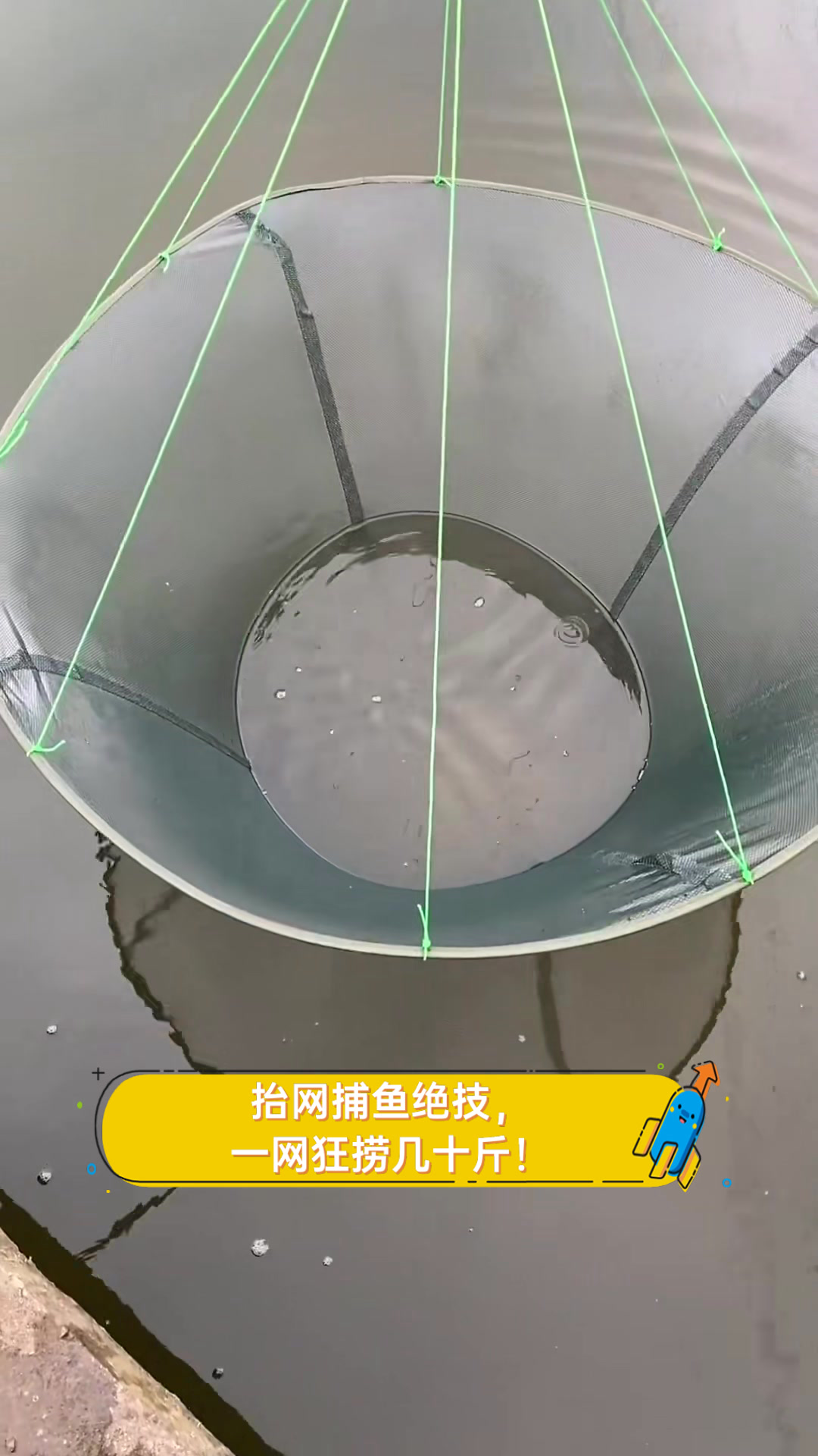 抬网捕鱼绝技,一网狂捞几十斤!