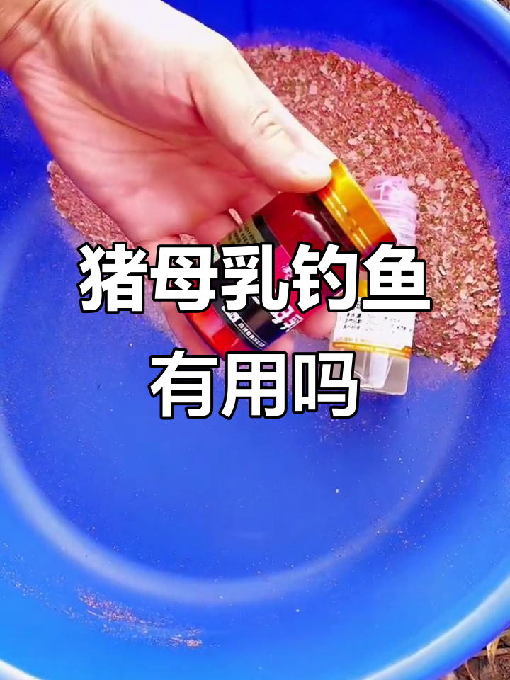 猪母乳钓鱼添加剂真能诱鱼？使用技巧与效果分析