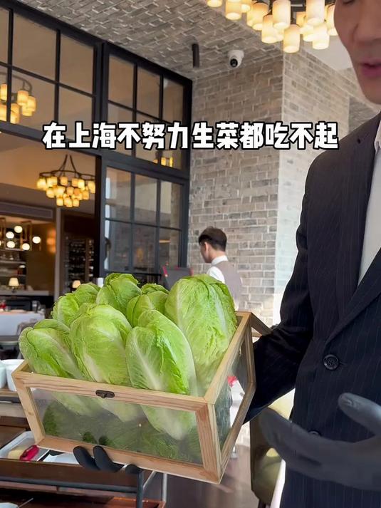 上海的生菜不努力吃不起