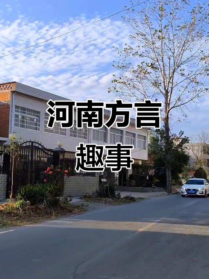 河南方言趣谈:赶集、噘人,饺子叫扁食,老乡们懂吗?