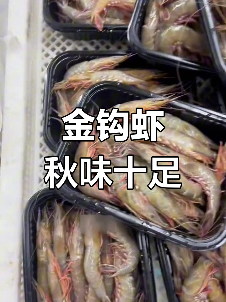 江苏启东吕斯渔港金钩虾,秋季必尝美味