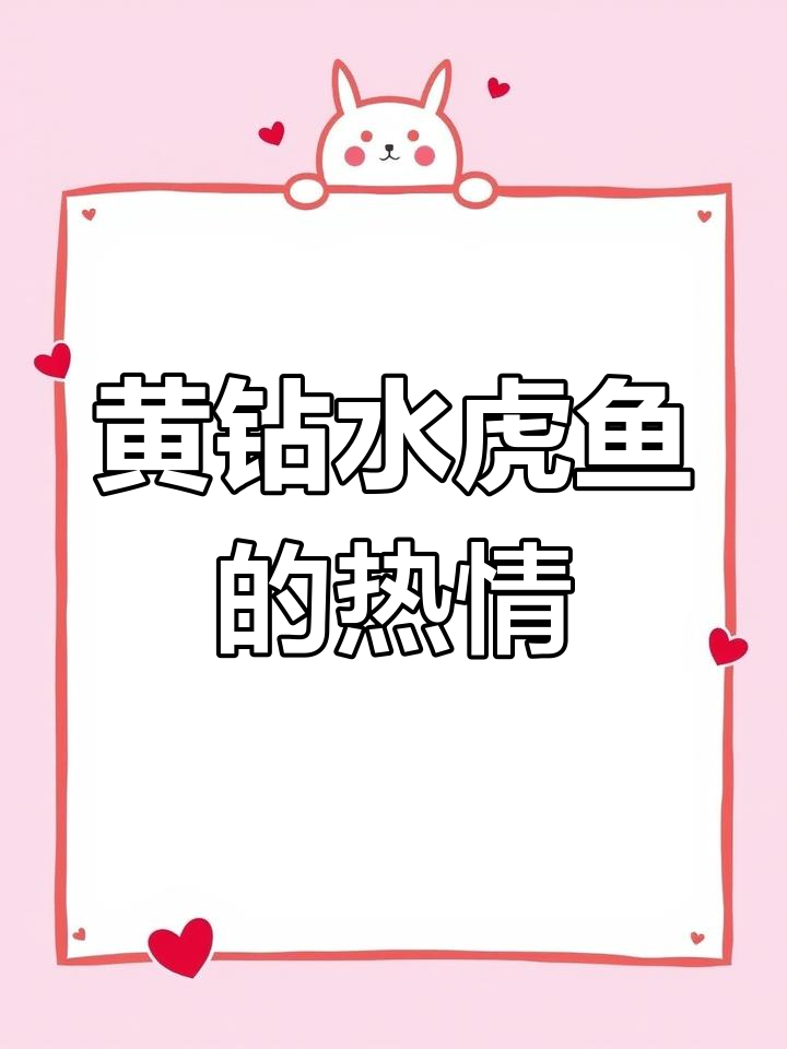 每次回店,它都热情迎接!黄钻水虎鱼的可爱日常