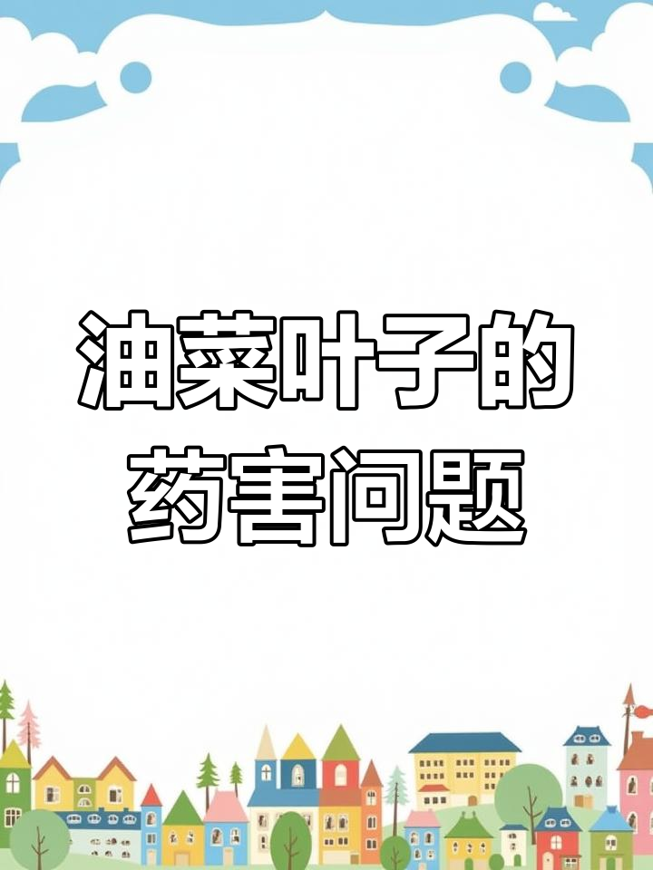 油菜叶子出现药害?这些原因你得知道