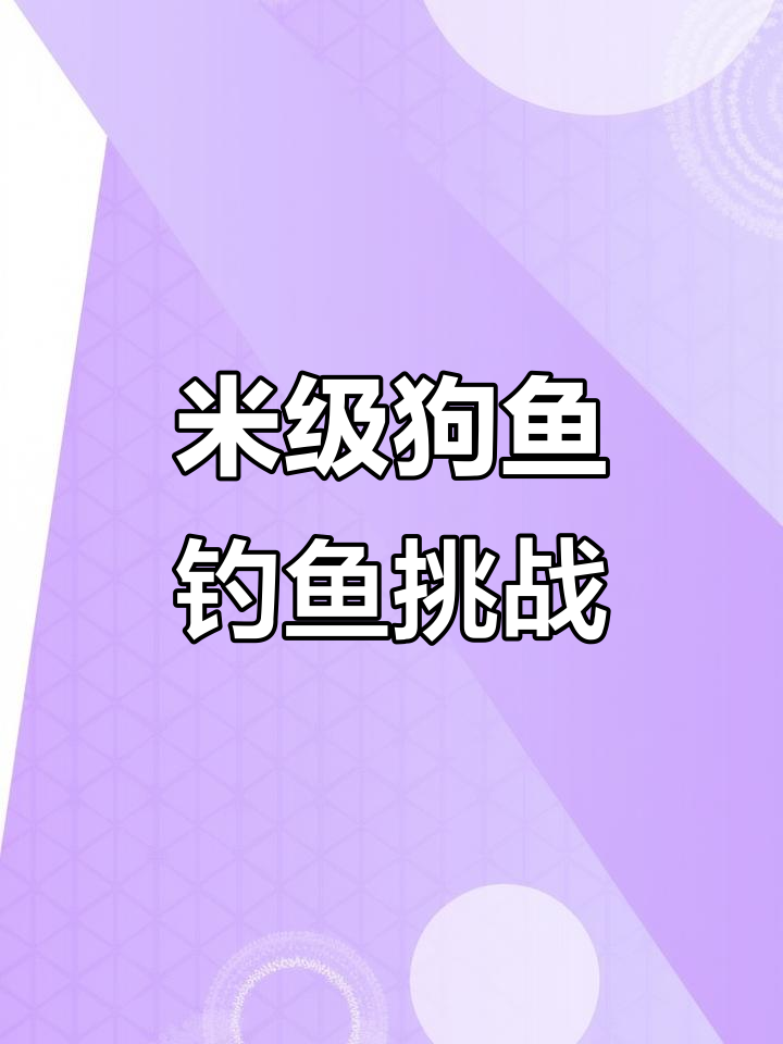 秋日运河钓狗鱼,控仪器惊险捕捉