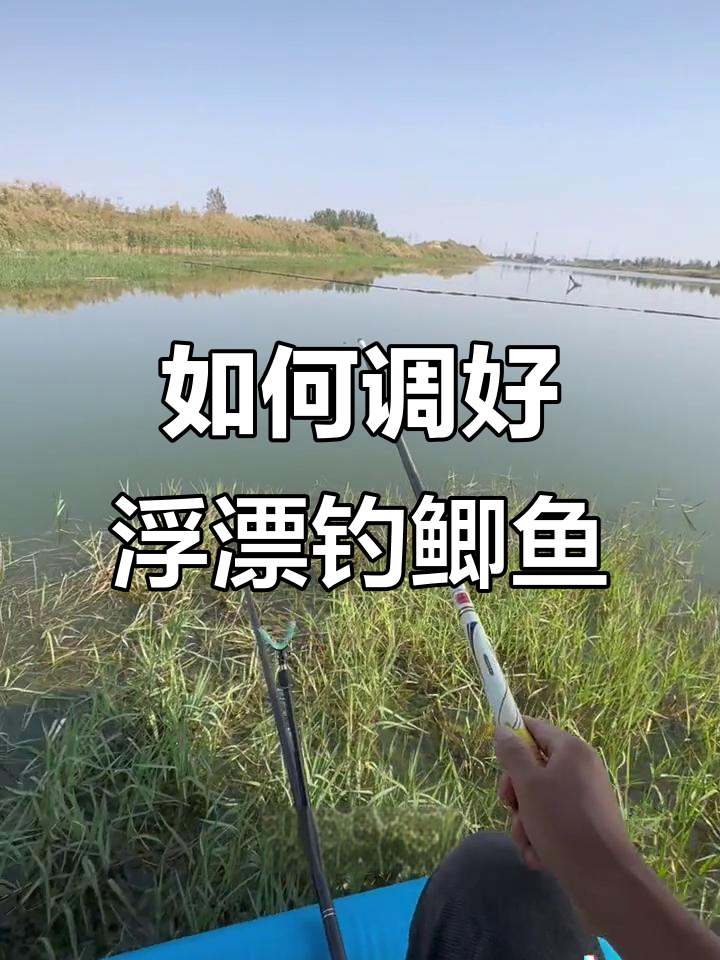 浮漂调节技巧大揭秘,如何让鲫鱼轻松上钩