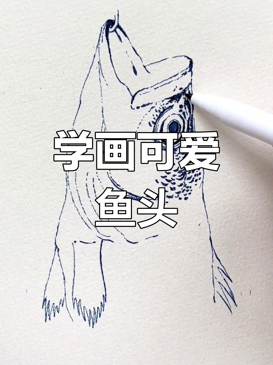 鱼头画法全解析:从嘴巴到鳞片的细致步骤