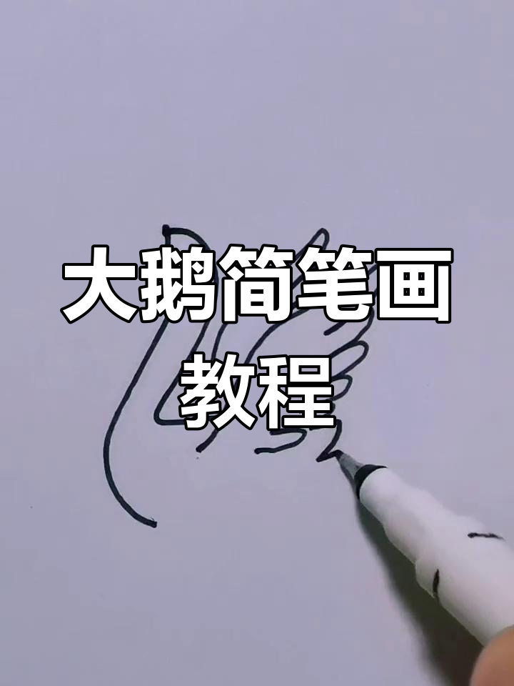 轻松学画大鹅,简单步骤教你画出可爱水波纹