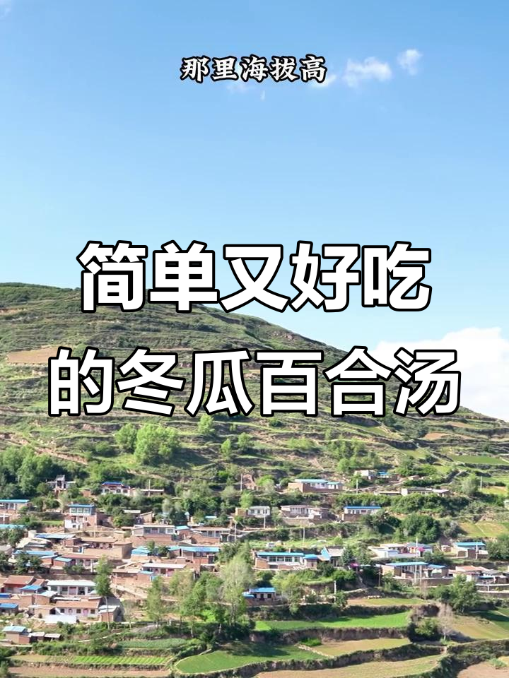 夏季清爽滋补汤,冬瓜百合搭配最合适