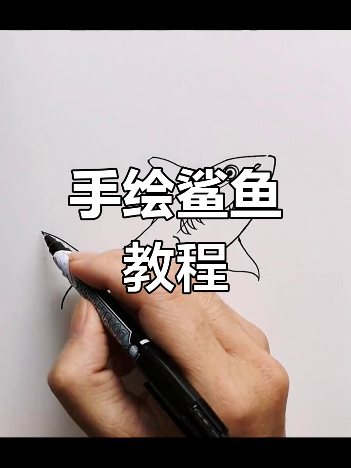简单步骤绘制鲨鱼简笔画