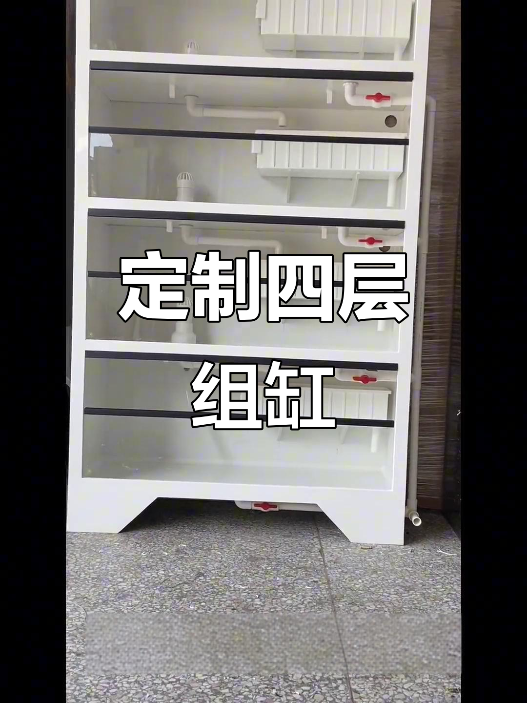 四层组缸设计,养龟又养鱼,过滤系统超节能
