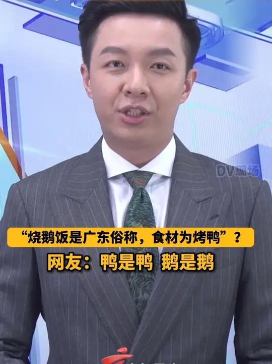 “烧鹅饭是广东俗称，食材为烤鸭”？网友：鸭是鸭，鹅是鹅
