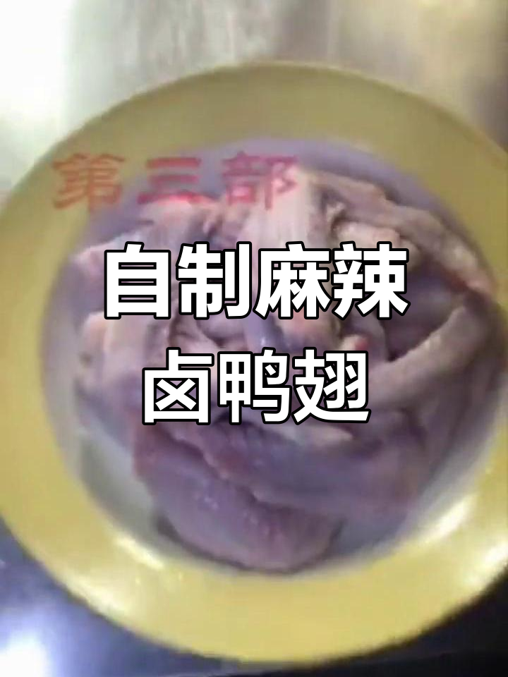 麻辣卤鸭翅制作全流程