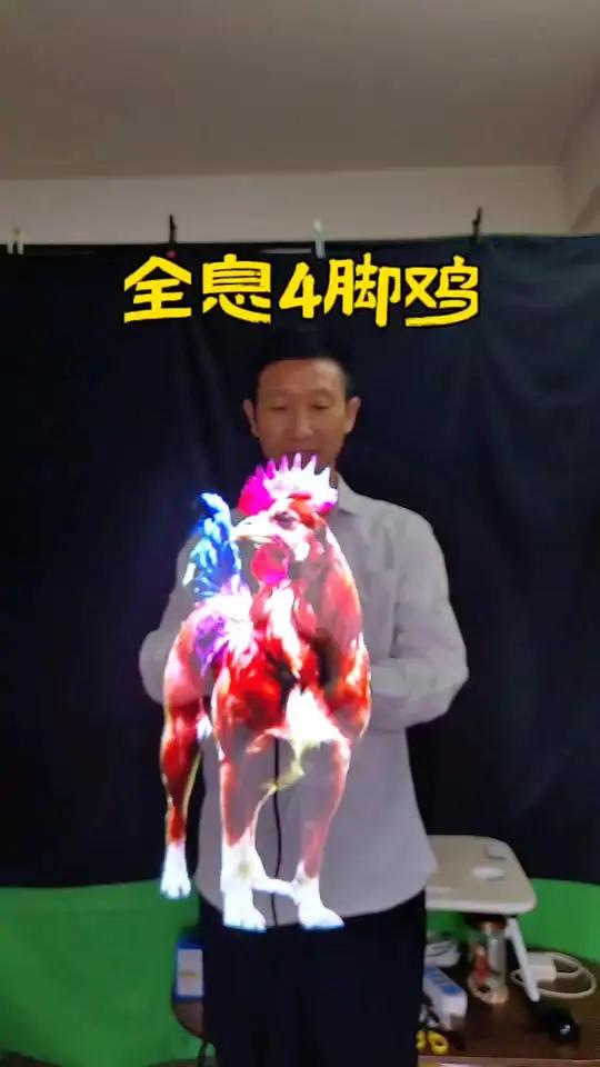 全息四脚公鸡,打破常规,颠覆想象,科技与艺术的结合。裸眼3d全息风扇引流获客神器全息灯箱全