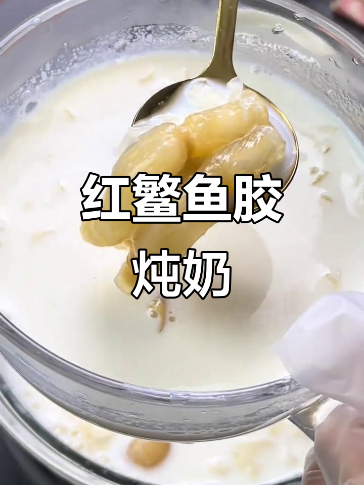 红鳘鱼胶炖奶,滋补美容,让你焕发好气色