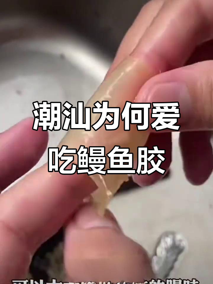潮汕人为什么偏爱鳗鱼胶?营养丰富,适合各种人群