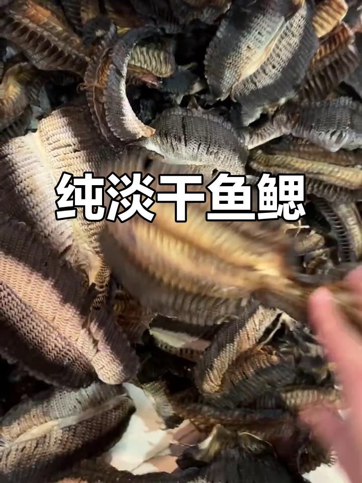 纯淡干鱼鳃,新鲜又美味