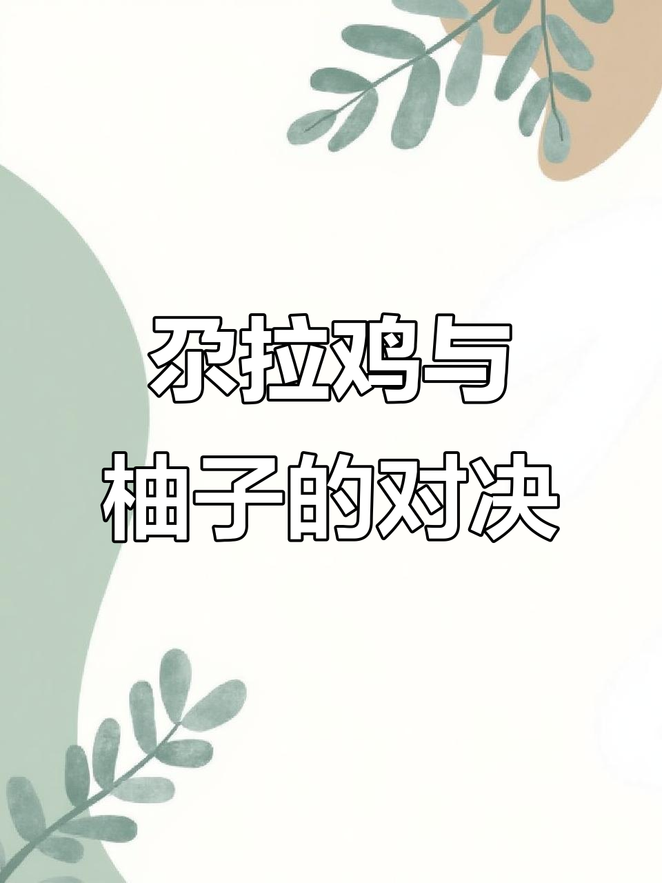 尕拉鸡斗法,柚子助力决胜负