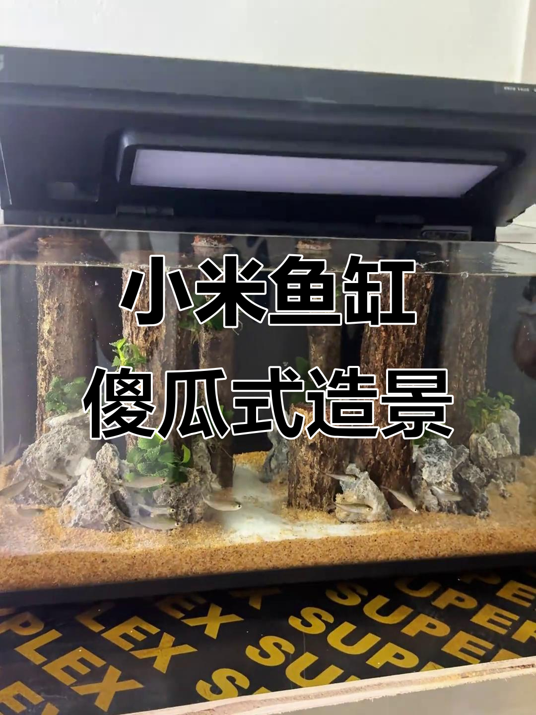 小米鱼缸森林造景全攻略，轻松打造自然生态