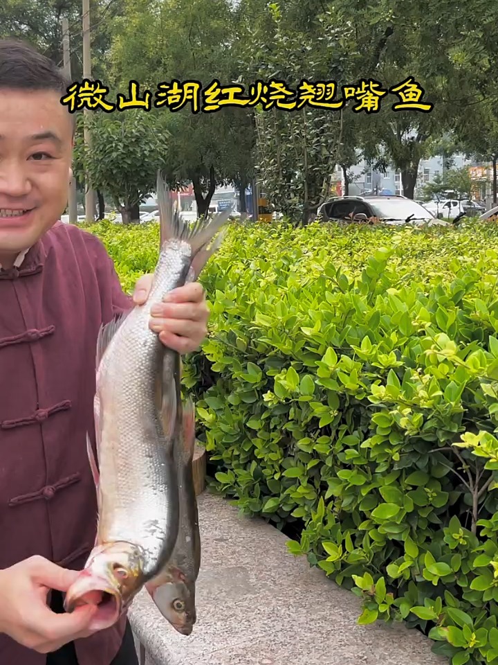 这样的大翘嘴你们见过吗?教大家红烧大翘嘴!