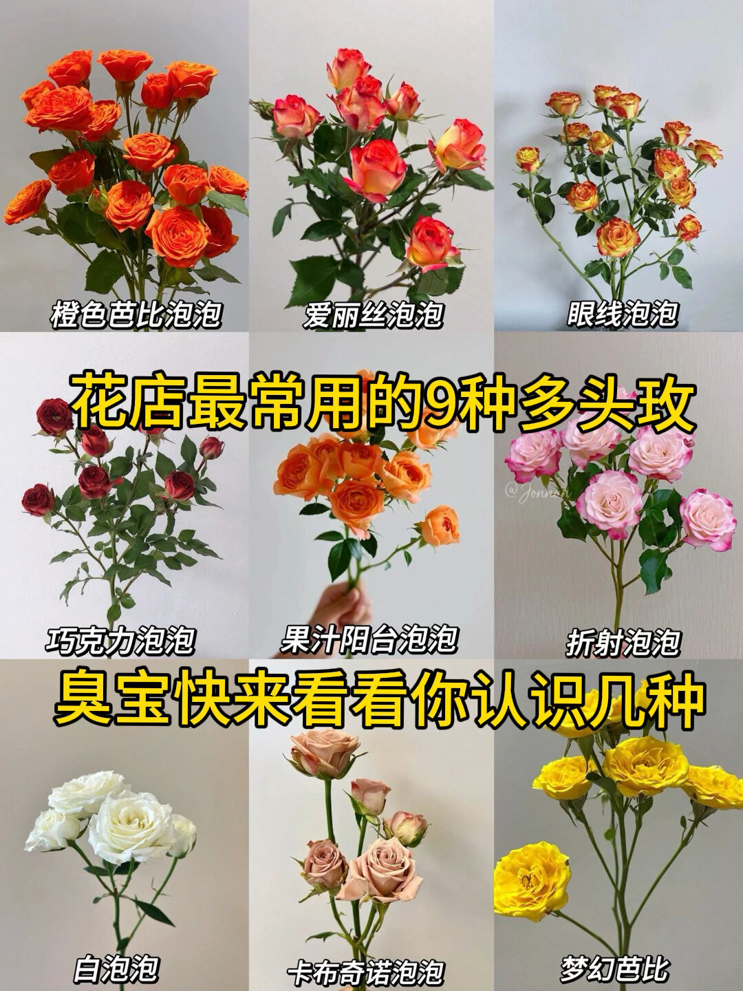 花店最常用的9种多头玫瑰,臭宝快进来