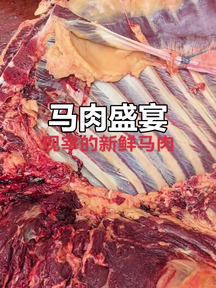 新鲜马肉,原汁原味,干锅与黄焖尽显家乡风味