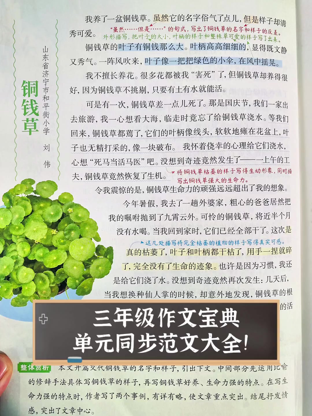 三年级作文宝典,单元同步范文大全!