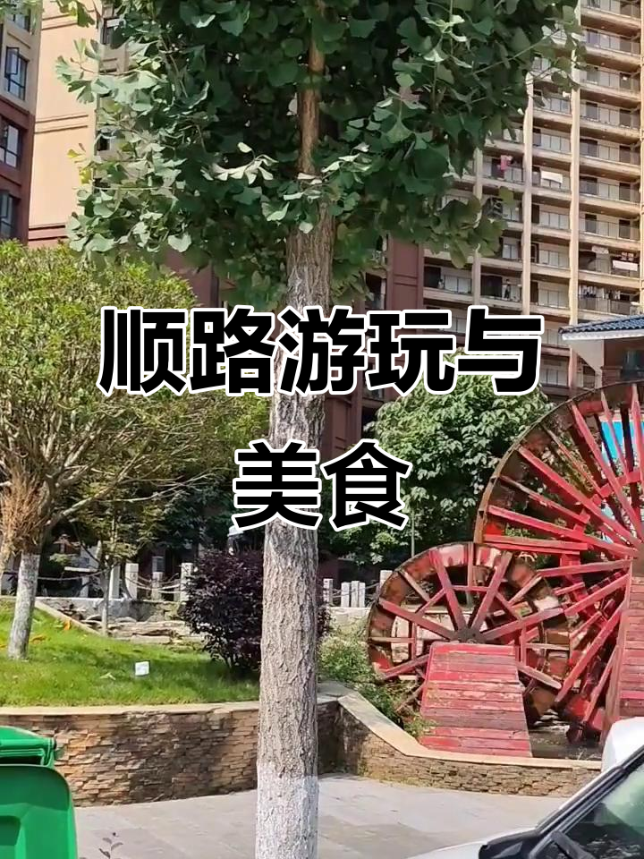 灌气之余,顺便逛了红花镇,买了鱼做酸菜鱼