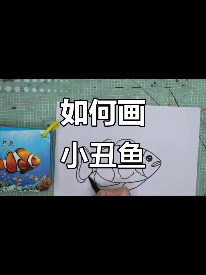 小丑鱼画法全解析,轻松学会!