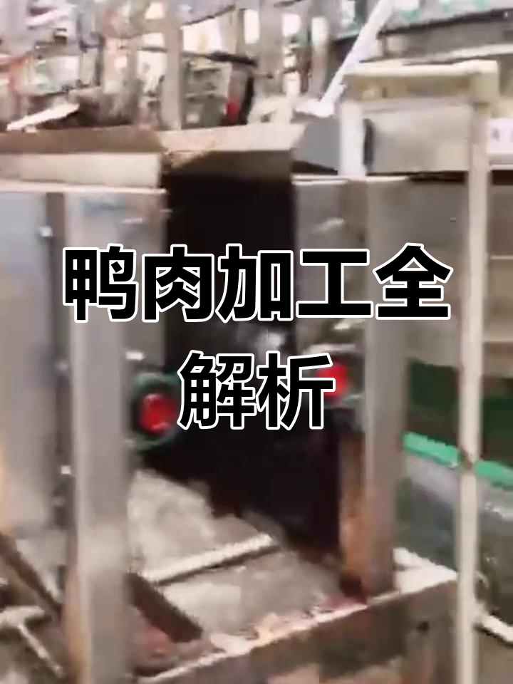 鸭肉加工全流程:宰杀、脱毛、分割,直至包装完成