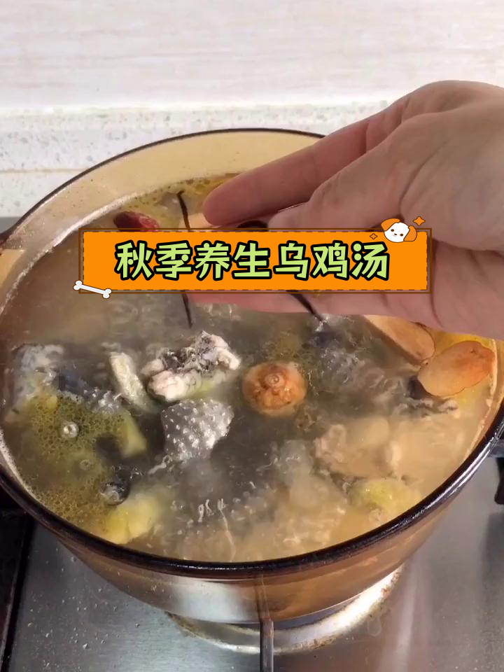 秋季滋补乌鸡汤,改善气色、失眠和头晕
