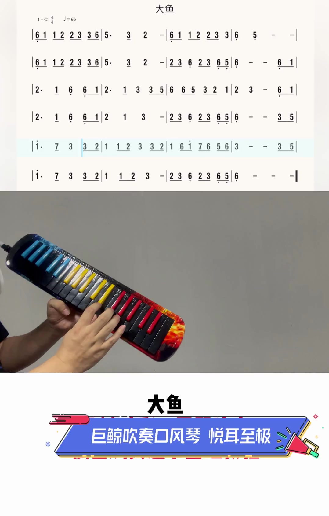 巨鲸吹奏口风琴,悦耳至极