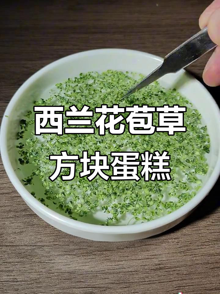 9000粒西兰花花苞变草方块蛋糕，榴莲与面包的奇妙搭配