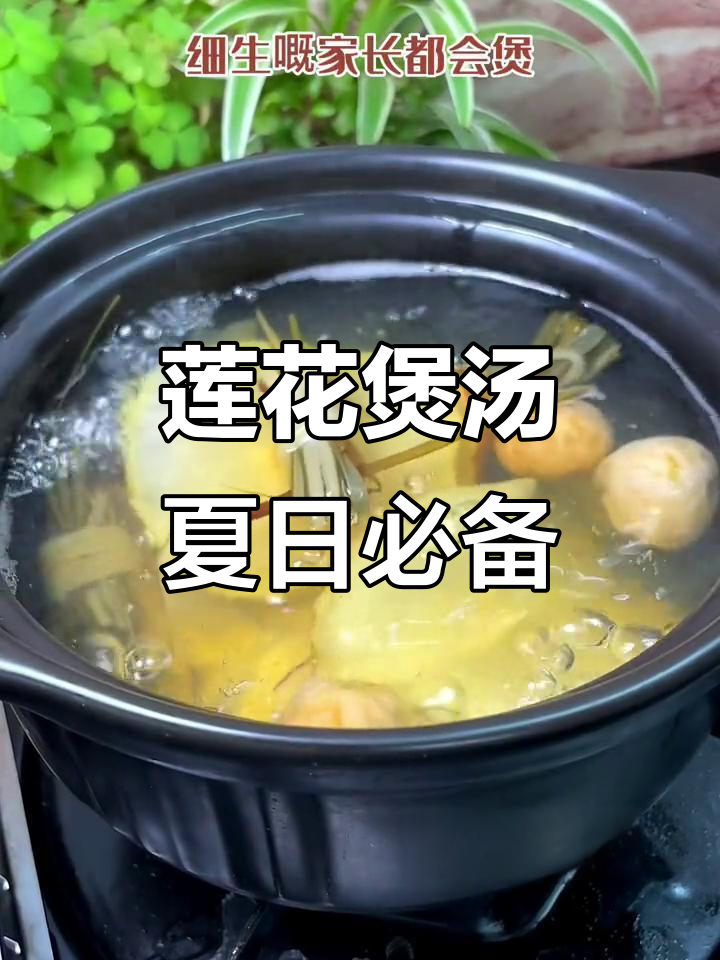 夏季育儿小贴士:如何用莲花煲汤,帮助小朋友防暑降温