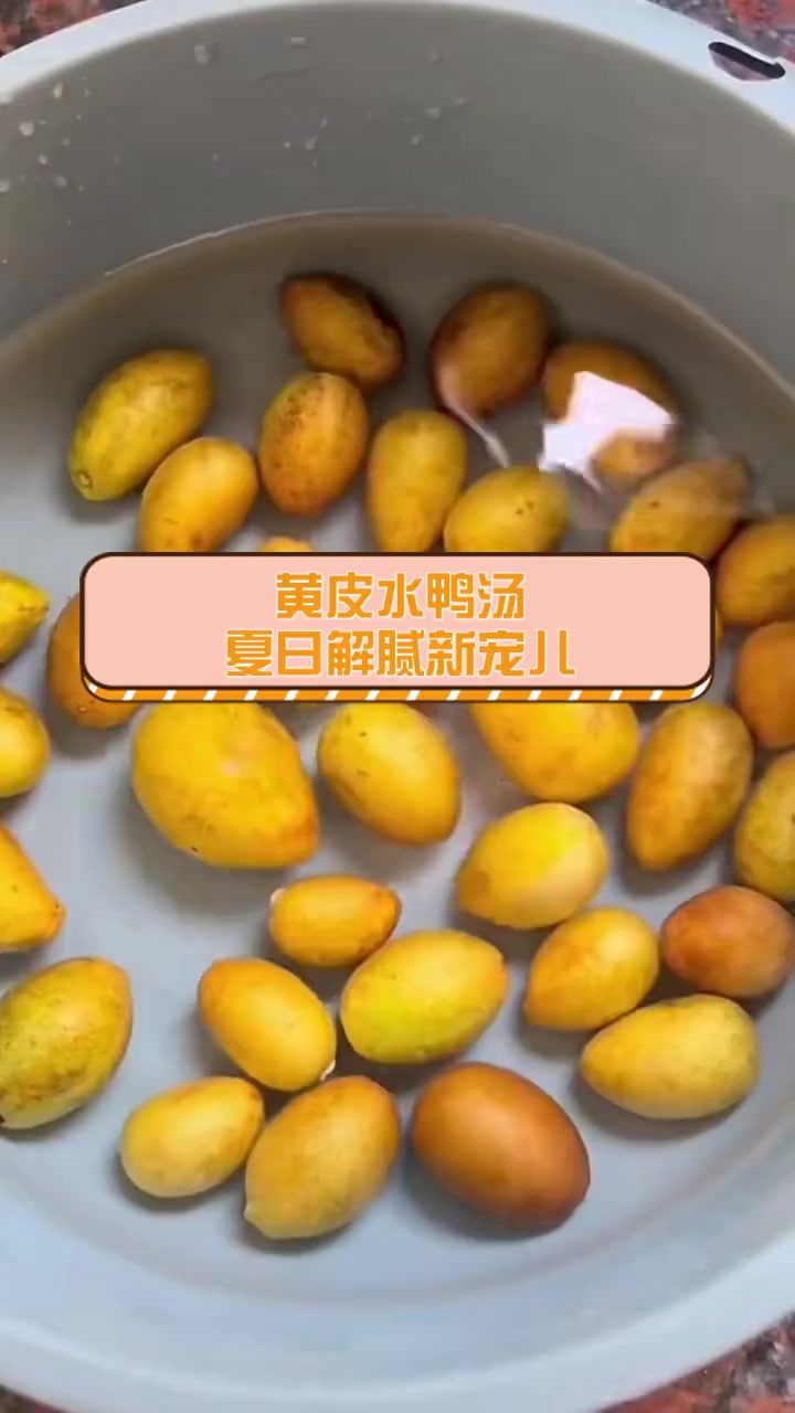 黄皮水鸭汤,夏日解腻新宠儿