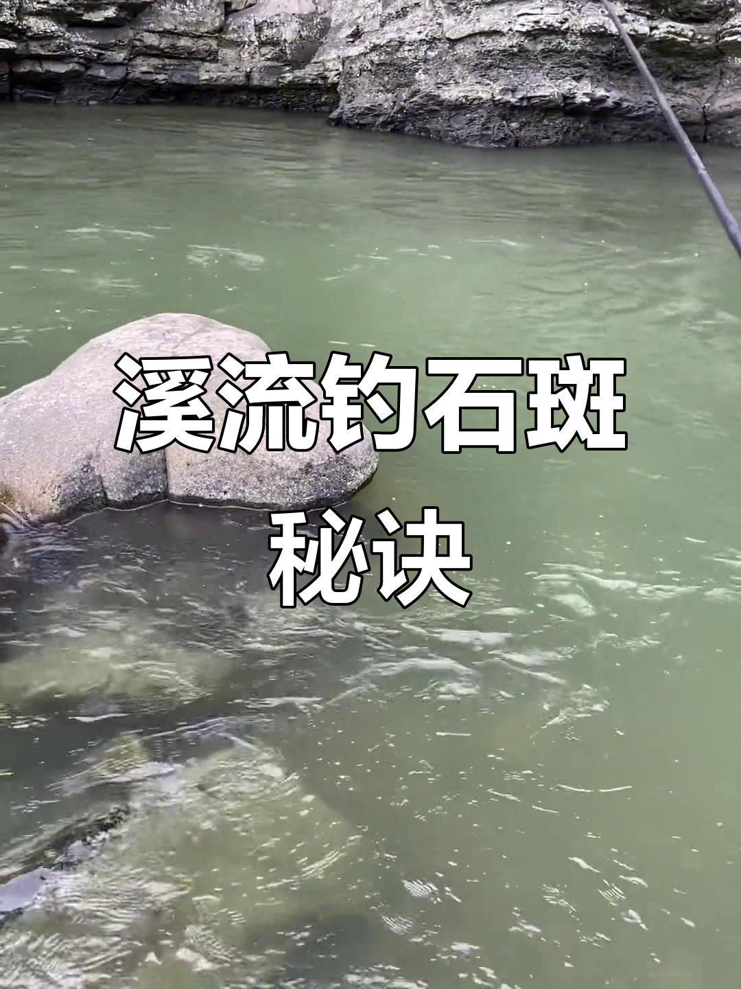 溪流钓石斑技巧大揭秘,选对饵料和线组轻松爆护