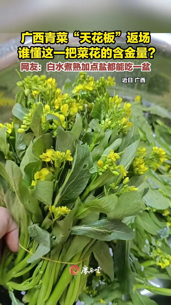 又甜又脆!近日,广西菜花返场了,打边炉绝配,白灼加盐都好吃!(来源:网友“乳酸菌钙片”“一