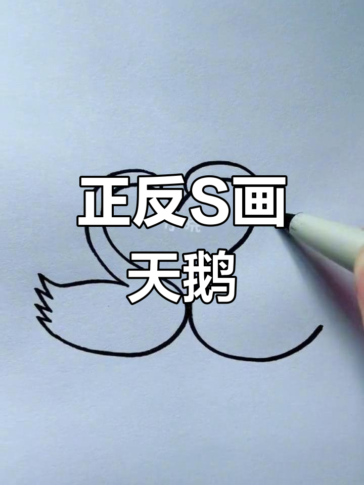 用正反S画天鹅简笔画教程
