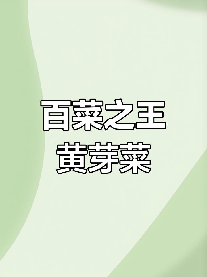 黄芽菜:大白菜中的珍稀品种