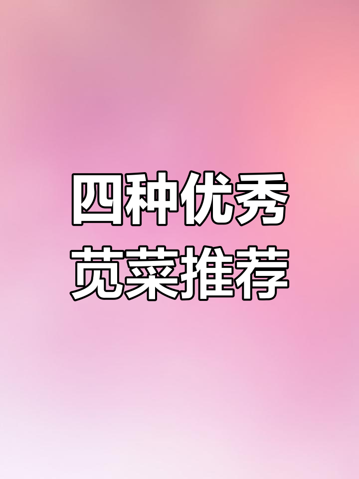 苋菜品种大揭秘!这4个优质选择,你选对了吗?