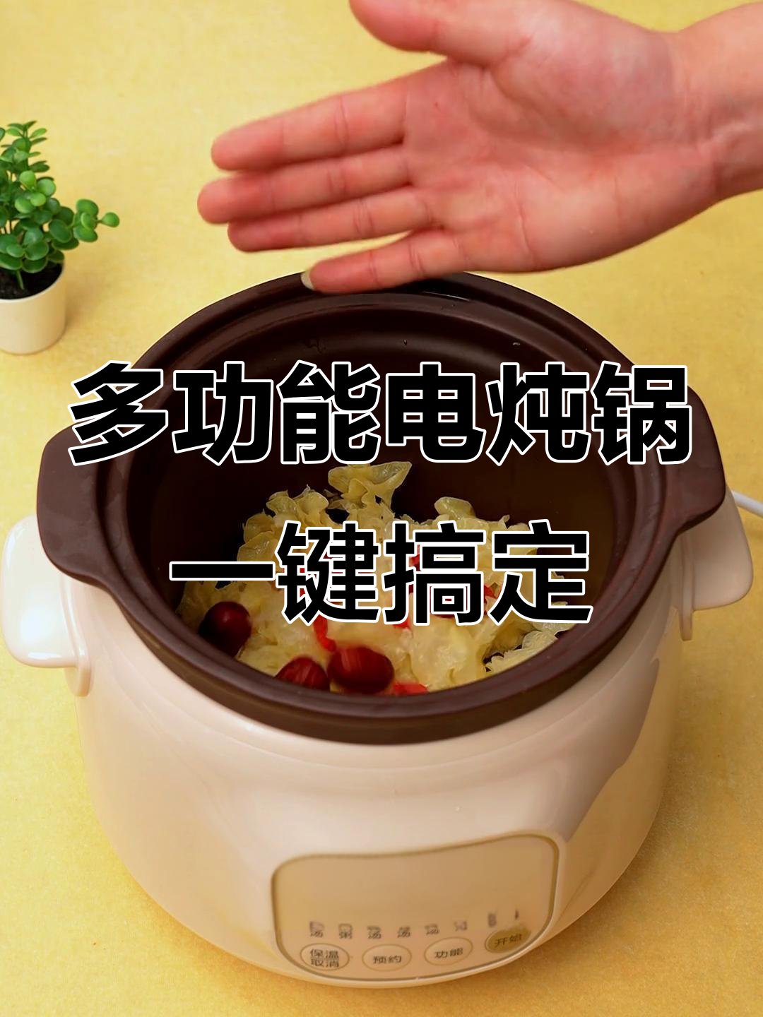 苏泊尔电炖锅，蒸煮焖炖一应俱全，轻松做出美味银耳莲子羹