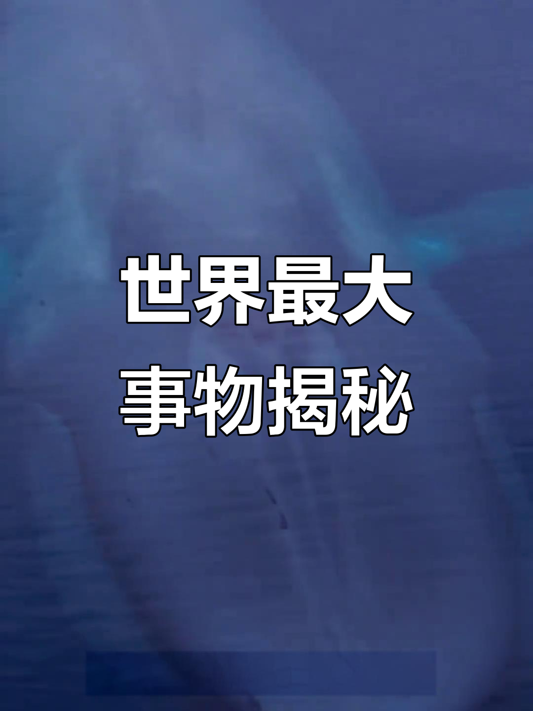 探秘世界上最大的事物,从带鱼到蓝鲸一应俱全