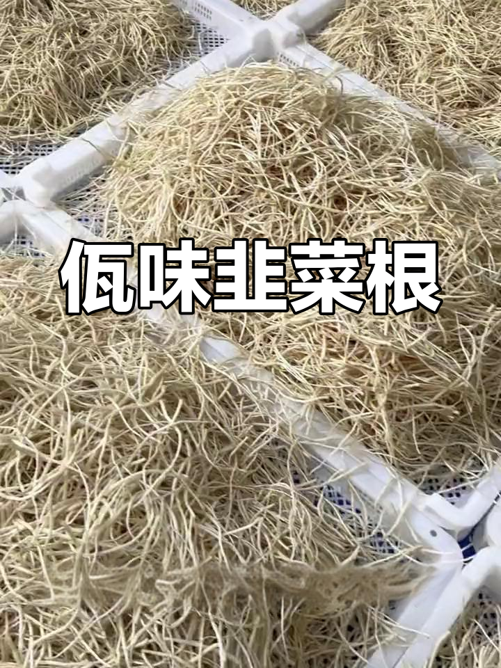 云南佤味韭菜根,口感争议大但超下饭