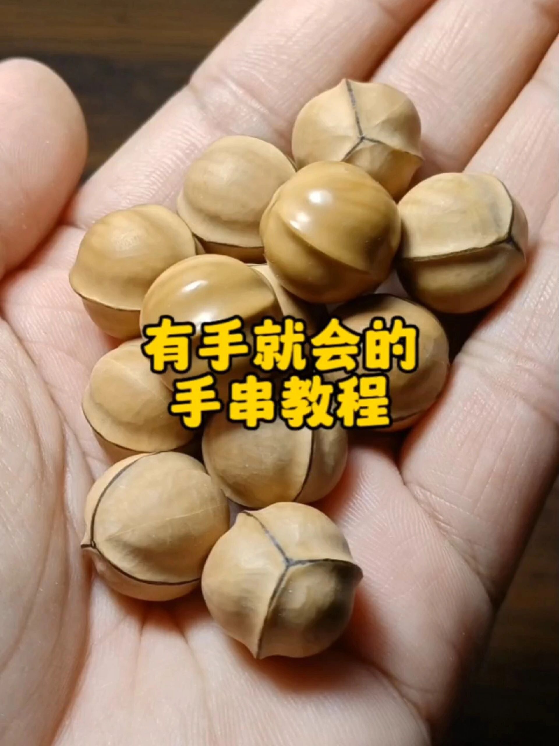 猴头雕刻鲨鱼背